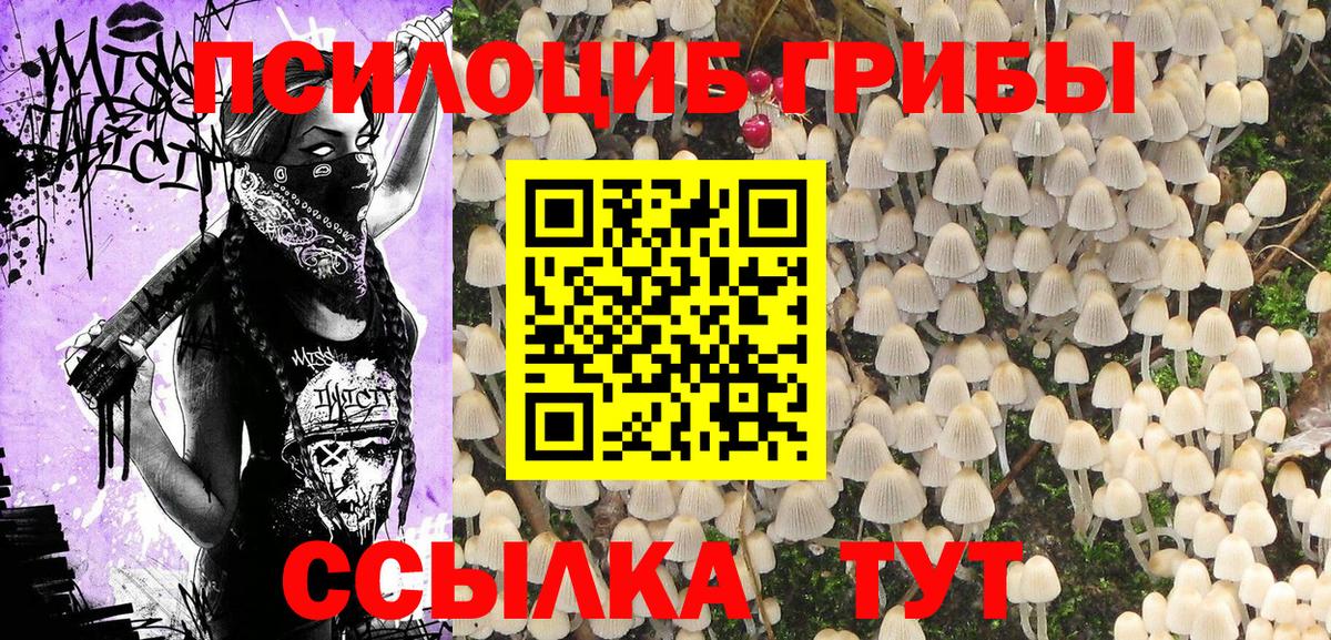 Псилоцибиновые грибы ЛСД  Вход с VPN  Волжский 