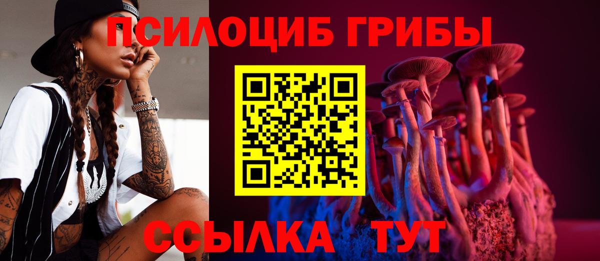 Псилоцибиновые грибы GOLDEN TEACHER Волжский